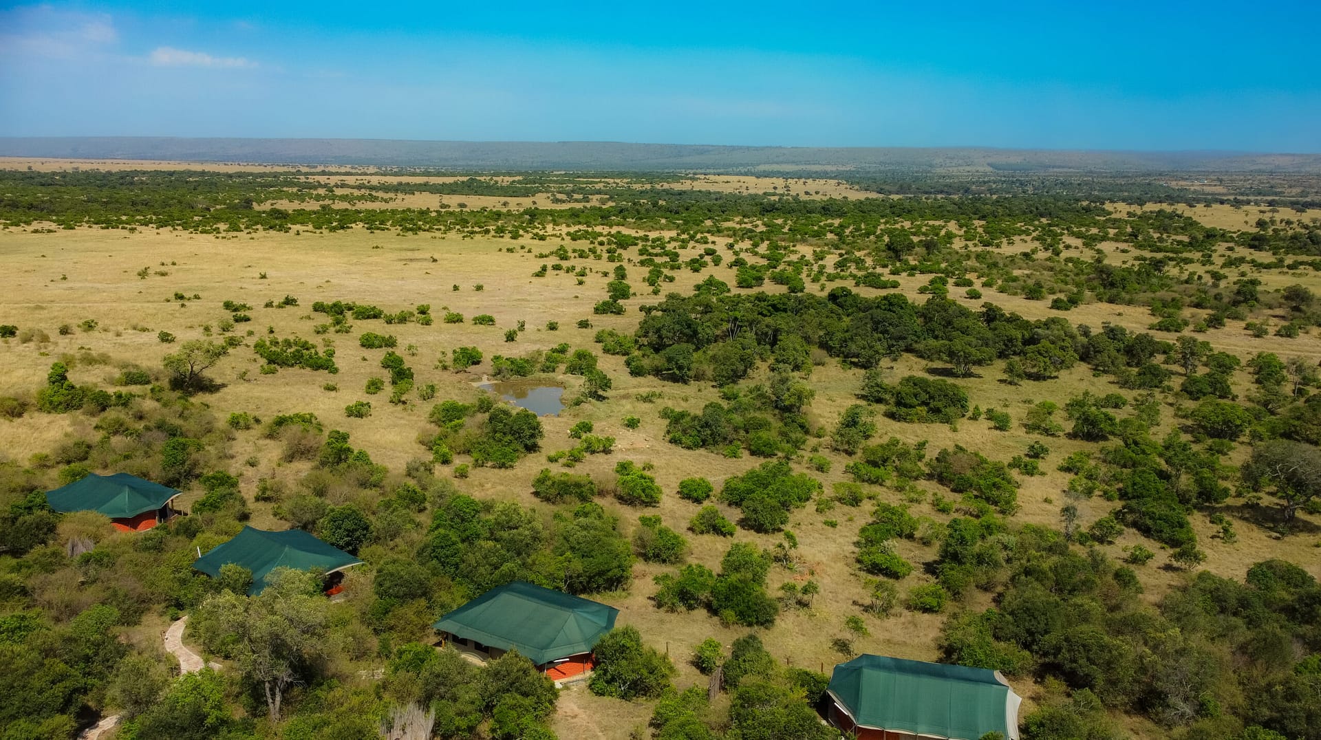 Aerial View.JPG