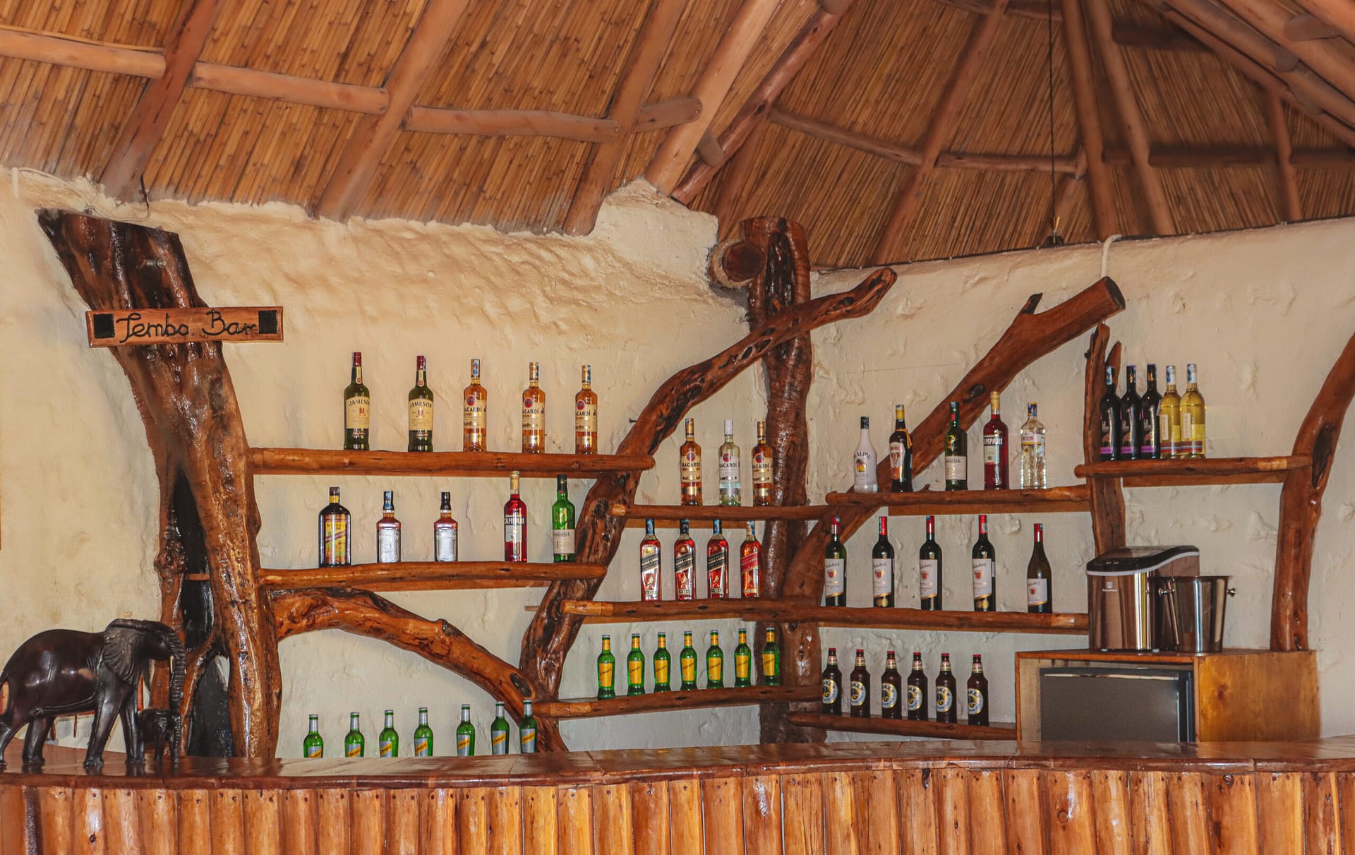 Bar Setup - Spirit of Tembo - Angle 2