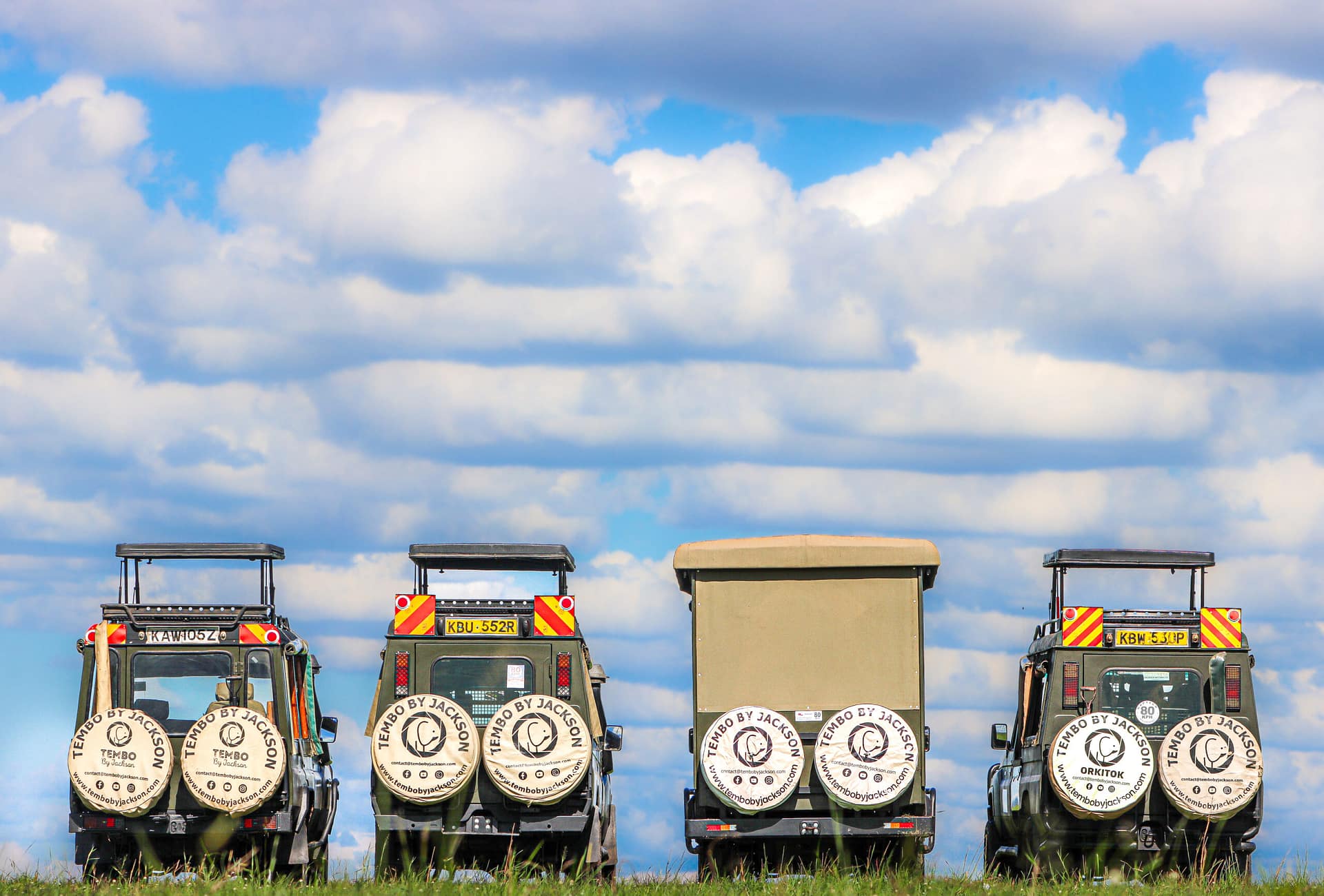 Vehicle Fleet (Wheel Covers and Horizon) Angle 1 - Tembo By Jackson Collection